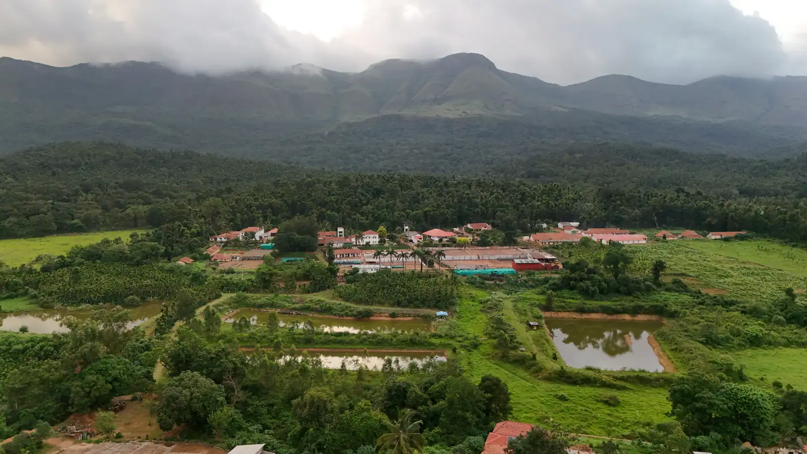 Thogari Hunkal Estate — drying yards and processing sheds below the ridge.